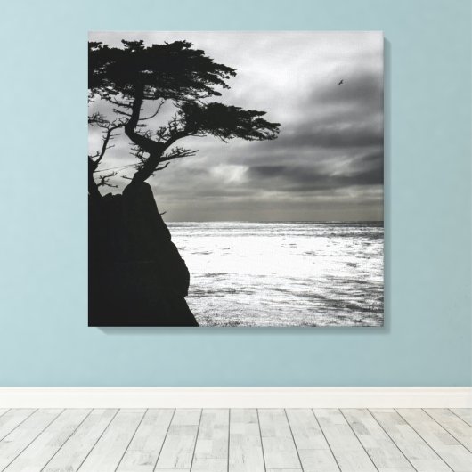 Natuur Fotografie zwart-wit Canvas Afdruk (Insitu (Houten vloer))