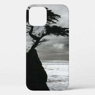 Natuur Fotografie zwart-wit Case-Mate iPhone Case
