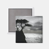Natuur Fotografie zwart-wit Magneet (Voorkant / Achterkant)