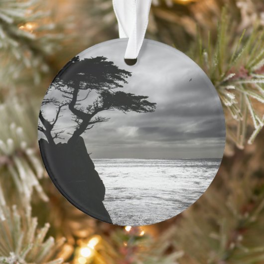 Natuur Fotografie zwart-wit Ornament (Boom)