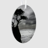 Natuur Fotografie zwart-wit Ornament (voorkant)
