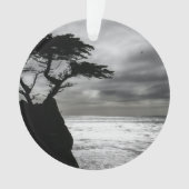 Natuur Fotografie zwart-wit Ornament (voorkant)