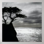 Natuur Fotografie zwart-wit Poster (Voorkant)