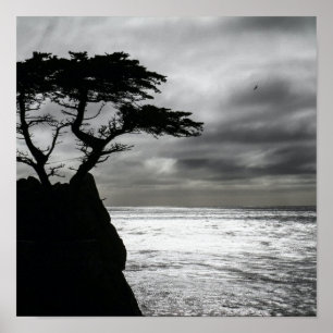 Natuur Fotografie zwart-wit Poster