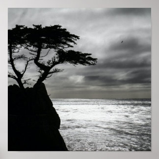 Natuur Fotografie zwart-wit Poster