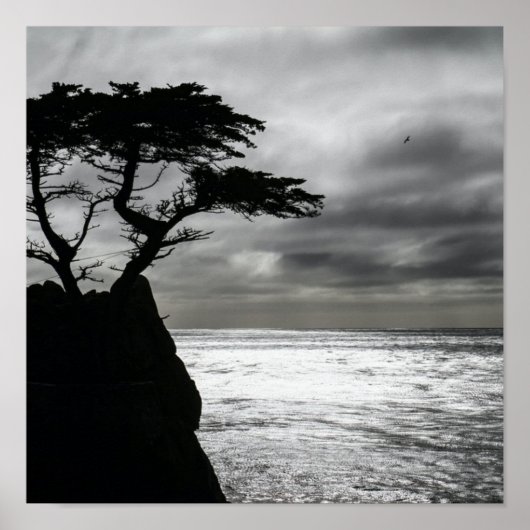 Natuur Fotografie zwart-wit Poster (Voorkant)