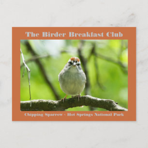 Natuur Fotografiemchipkaart Sparrow Birder Card Briefkaart