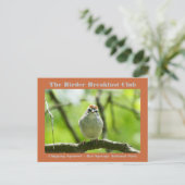 Natuur Fotografiemchipkaart Sparrow Birder Card Briefkaart (Staand voorkant)