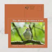 Natuur Fotografiemchipkaart Sparrow Birder Card Briefkaart (Voorkant / Achterkant)