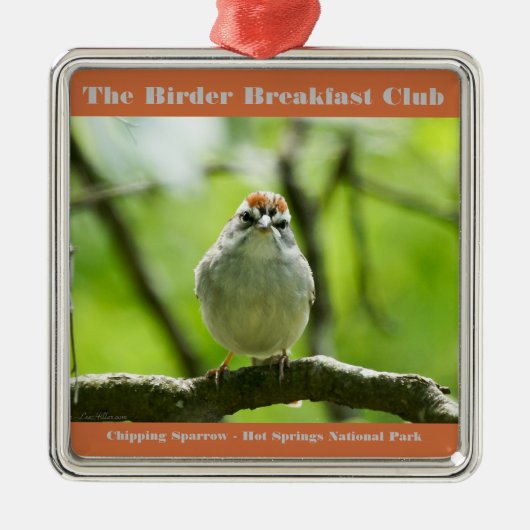 Natuur Fotografieschip Sparrow Birder Metalen Ornament (Voorkant)
