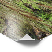 Natuur Fotografiesolven Bot Foto Afdruk (Hoek)