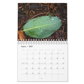 Natuur foto's agenda kalender (Mar 2027)