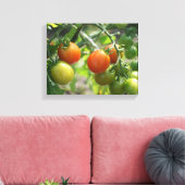 Natuur Garden Cherry Tomaten Canvas Afdruk (Insitu (Woonkamer))