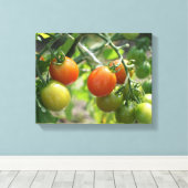 Natuur Garden Cherry Tomaten Canvas Afdruk (Insitu (Houten vloer))