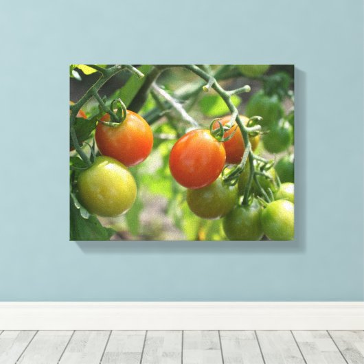 Natuur Garden Cherry Tomaten Canvas Afdruk (Insitu (Houten vloer))