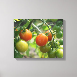 Natuur Garden Cherry Tomaten Canvas Afdruk