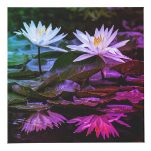 Natuur Geïnspireerd 4-inch fotokubus