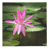 Natuur Geïnspireerd 4-inch fotokubus (Rechts)