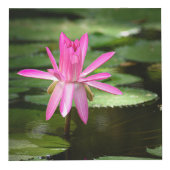 Natuur Geïnspireerd 4-inch fotokubus (Rechts)