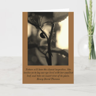 Natuur Geïnspireerd Wenskaart met Kaart