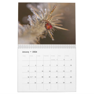 Natuur geïnspireerde 2026 kalender
