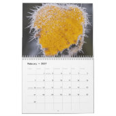 Natuur geïnspireerde 2026 kalender (Feb 2027)