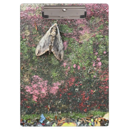 Natuur geïnspireerde mot klembord