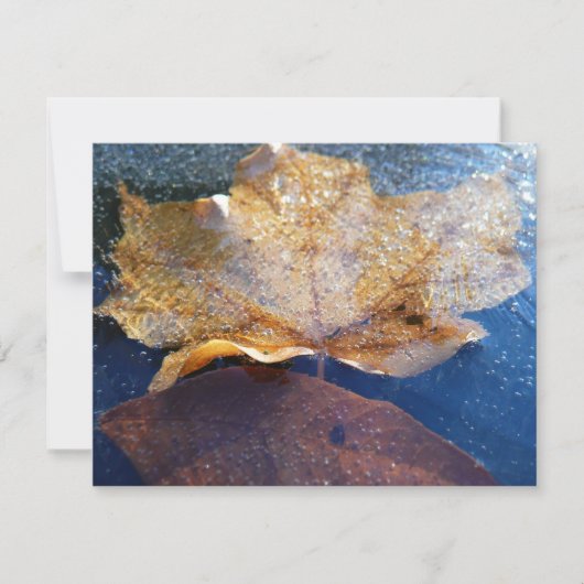 Natuur gele leder in de herfst, bevroren (Voorkant)