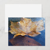 Natuur gele leder in de herfst, bevroren (Voorkant / Achterkant)