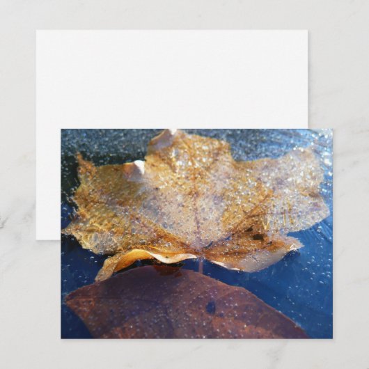 Natuur gele leder in de herfst, bevroren (Voorkant / Achterkant)