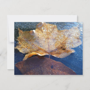 Natuur gele leder in de herfst, bevroren