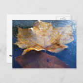 Natuur gele leder in de herfst, bevroren briefkaart (Voorkant / Achterkant)