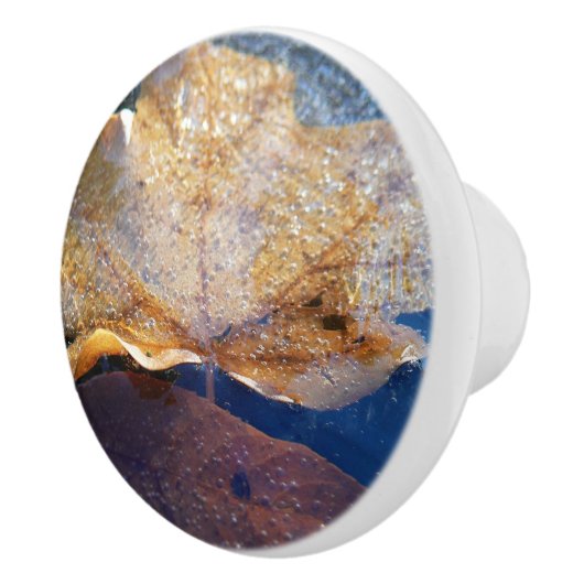 Natuur gele leder in de herfst, bevroren keramische knop (Rechts)