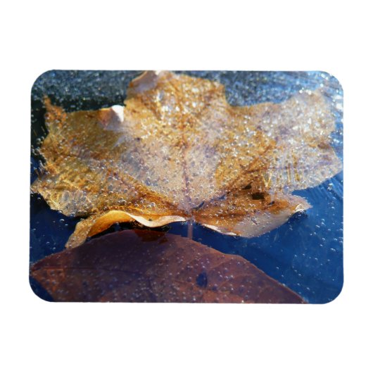 Natuur gele leder in de herfst, bevroren magneet (Horizontaal)