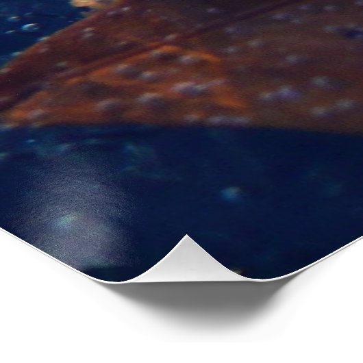 Natuur gele leder in de herfst, bevroren perfect poster (Hoek)