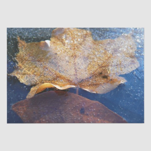 Natuur gele leder in de herfst, bevroren tissuepapier (Voorkant)