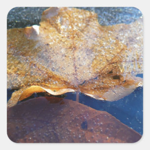 Natuur gele leder in de herfst, bevroren vierkante sticker