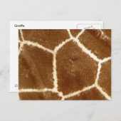 Natuur gestructureerd Foto Giraffe Dierlijk afdruk Briefkaart (Voorkant / Achterkant)