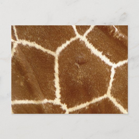 Natuur gestructureerd Foto Giraffe Dierlijk afdruk Briefkaart (Voorkant)