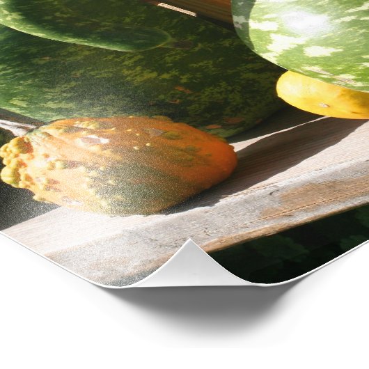 Natuur Giant Gourds Foto Afdruk (Hoek)