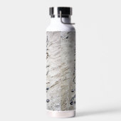 Natuur Graphics Zand Art Shells Twigs Rocks Waterfles (Links)