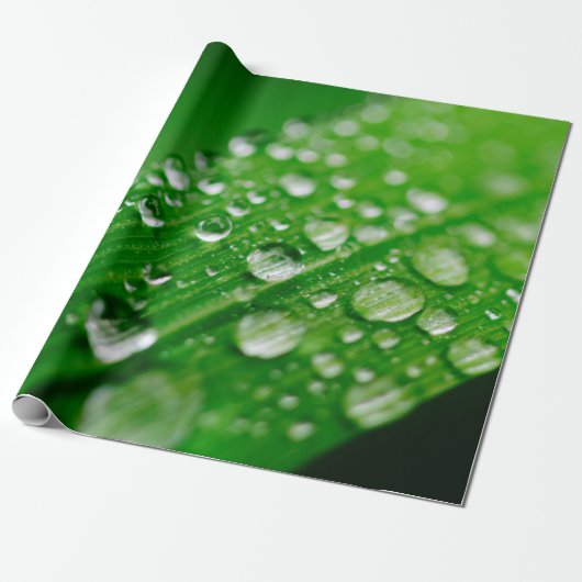 Natuur gras groene waterbladblad cadeaupapier (Uitgerold)