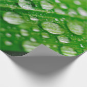 Natuur gras groene waterbladblad cadeaupapier (Hoek)