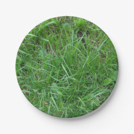 Natuur, grasspatlap, Bord papier
