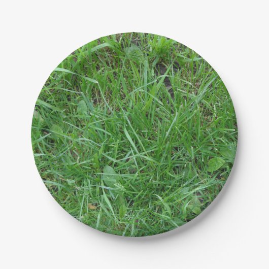 Natuur, grasspatlap, Bord papier (Voorkant)