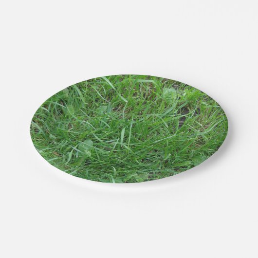 Natuur, grasspatlap, Bord papier (Gekanteld)