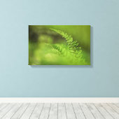 Natuur Green Fern Frond Canvas Afdruk (Insitu (Houten vloer))