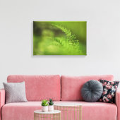 Natuur Green Fern Frond Canvas Afdruk (Insitu (Woonkamer))