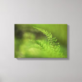 Natuur Green Fern Frond Canvas Afdruk (Voorkant)