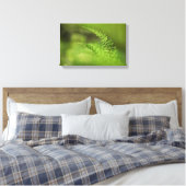 Natuur Green Fern Frond Canvas Afdruk (Insitu (Slaapkamer))